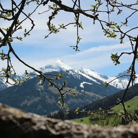 Moahof * Alpbach