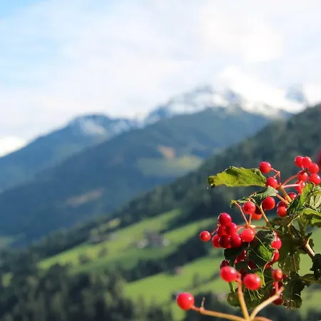 Moahof * Alpbach