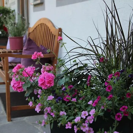 Διαμέρισμα Moahof *